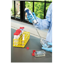 Load image into Gallery viewer, Eukaryotic Cell Biology - Edvotek 1001  Edit alt text