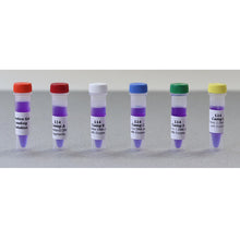 Load image into Gallery viewer, Edvotek 114 DNA Paternity Test Simulation