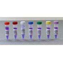 Load image into Gallery viewer, Edvotek 116 Genetic Disease Screening