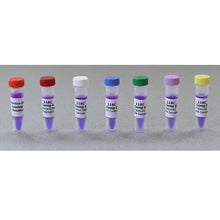 Load image into Gallery viewer, Edvotek 118 Cholesterol Diagnostics