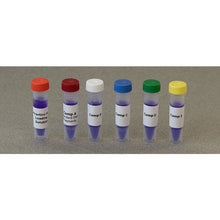 Load image into Gallery viewer, Edvotek 130 DNA fingerprinting made simple