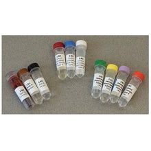 Load image into Gallery viewer, Blood Typing Kit - Edvotek 140