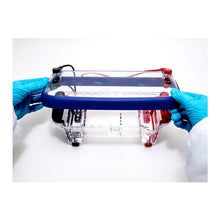 Load image into Gallery viewer, Edvotek 502/504  M12 Complete Electrophoresis Package