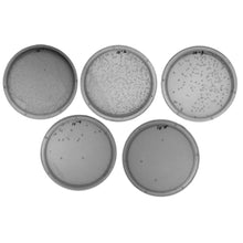 Load image into Gallery viewer, 953 Water Quality Testing III: Multiplex PCR Testing of Water Contaminants