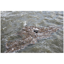 Load image into Gallery viewer, 953 Water Quality Testing III: Multiplex PCR Testing of Water Contaminants