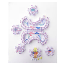 Load image into Gallery viewer, Golgi apparatus & lysosome model