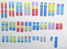 Load image into Gallery viewer, Human Chromosomes