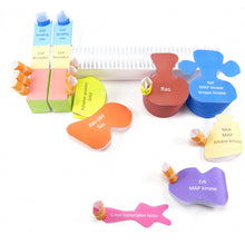 Load image into Gallery viewer, RTK origami organelle