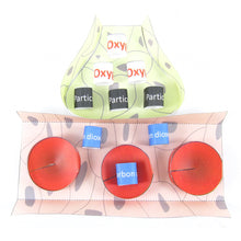 Load image into Gallery viewer, alveoli origami organelle