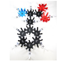 Load image into Gallery viewer, amino acids origami organelle