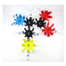 Load image into Gallery viewer, amino acids origami organelle