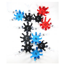 Load image into Gallery viewer, amino acids origami organelle