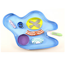 Load image into Gallery viewer, amoeba origami organelle