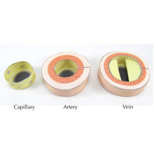 Load image into Gallery viewer, blood vessels origami organelle