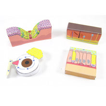 Load image into Gallery viewer, body defences origami organelle