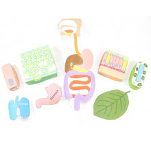 Load image into Gallery viewer, cell organisation origami organelle