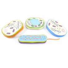 Load image into Gallery viewer, cell structure origami organelle