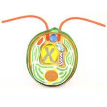 Load image into Gallery viewer, chlamydomonas origami organelle