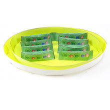 Load image into Gallery viewer, chloroplast origami model