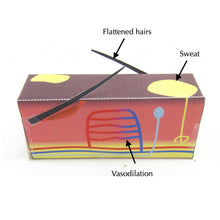 Load image into Gallery viewer, control of body temperature origami organelle