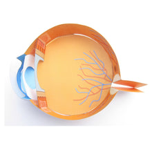 Load image into Gallery viewer, easy eye origami organelle