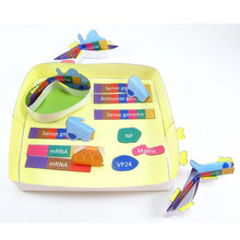 Load image into Gallery viewer, ebola life cycle origami organelle