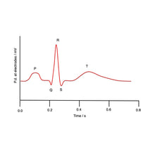 Load image into Gallery viewer, electrical control of the heart origami organelle