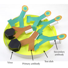 Load image into Gallery viewer, elisa origami organelle