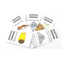 Load image into Gallery viewer, evolve origami organelle