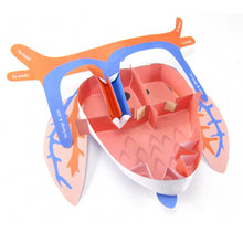 Load image into Gallery viewer, frog heart origami organelle