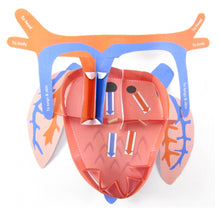 Load image into Gallery viewer, frog heart origami organelle