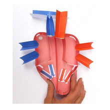 Load image into Gallery viewer, human heat model squeezed