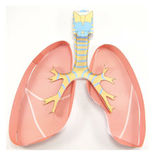 Load image into Gallery viewer, lungs origami organelle