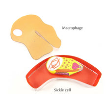 Load image into Gallery viewer, malaria origami organelle