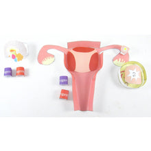 Load image into Gallery viewer, Menstrual cycle origami organelle