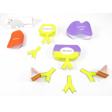 Load image into Gallery viewer, monoclonal antibodies origami organelle