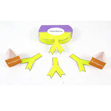 Load image into Gallery viewer, monoclonal antibodies origami organelle