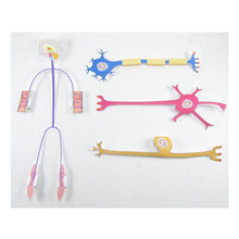 Load image into Gallery viewer, nervous system origami organelle