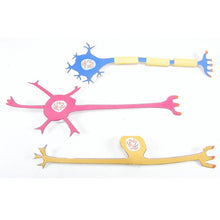 Load image into Gallery viewer, nervous system origami organelle