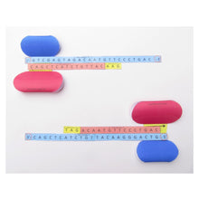 Load image into Gallery viewer, PCR Origami Organelle