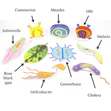 Load image into Gallery viewer, pathogens origami organelle