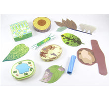 Load image into Gallery viewer, plant pathogens & defences origami organelle