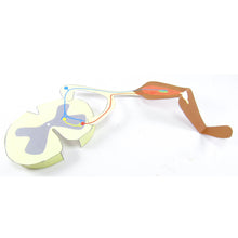 Load image into Gallery viewer, reflexes origami organelle