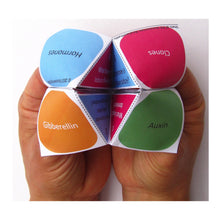 Load image into Gallery viewer, revisomatic in use