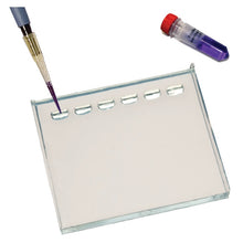 Load image into Gallery viewer, edvotek S-43-20 DNA Duragel