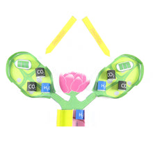 Load image into Gallery viewer, simple photosynthesis origami organelle