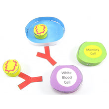 Load image into Gallery viewer, simple vaccinations origami organelle