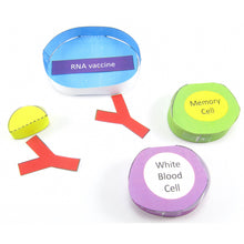 Load image into Gallery viewer, simple vaccinations origami organelle