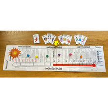 Load image into Gallery viewer, thermia origami organelle