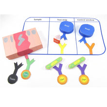 Load image into Gallery viewer, uses on monoclonal antibodies origami organelle